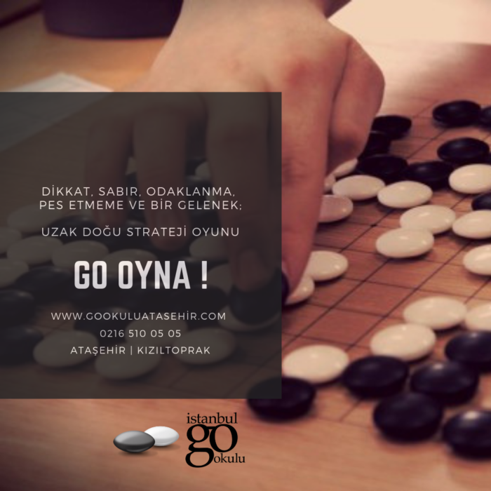 Go, Akıl Oyunları ve Spor Kampı